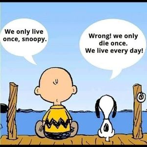 Meet your Posher, Loic